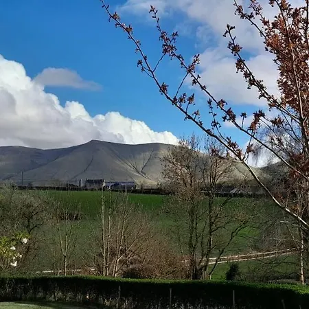 Riverside Tatil Evi Limerick Junction